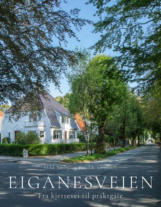 Hovedbilde Eiganesveien